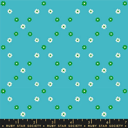 Best Day Ever - Jelly Roll - Melody Miller - Ruby Star Society (Pre-order: Jan 2026)