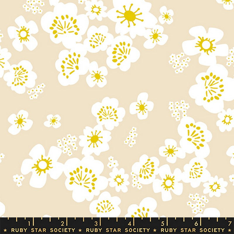 Paper Cuts 2 - Jelly Roll - Rashida Coleman-Hale - Ruby Star Society