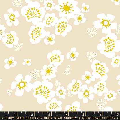 Paper Cuts 2 - Jelly Roll - Rashida Coleman-Hale - Ruby Star Society