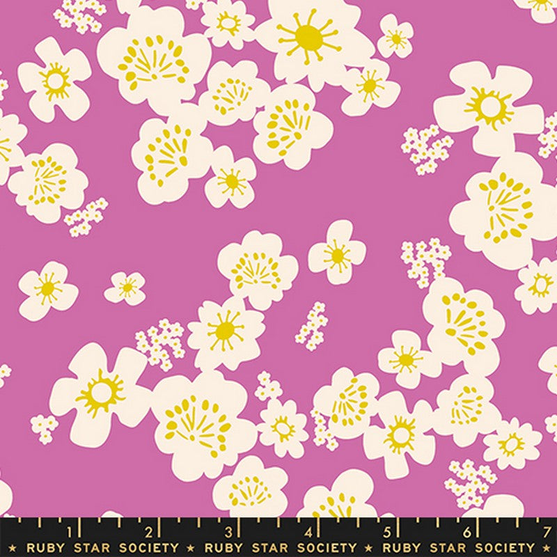Paper Cuts 2 - Jelly Roll - Rashida Coleman-Hale - Ruby Star Society