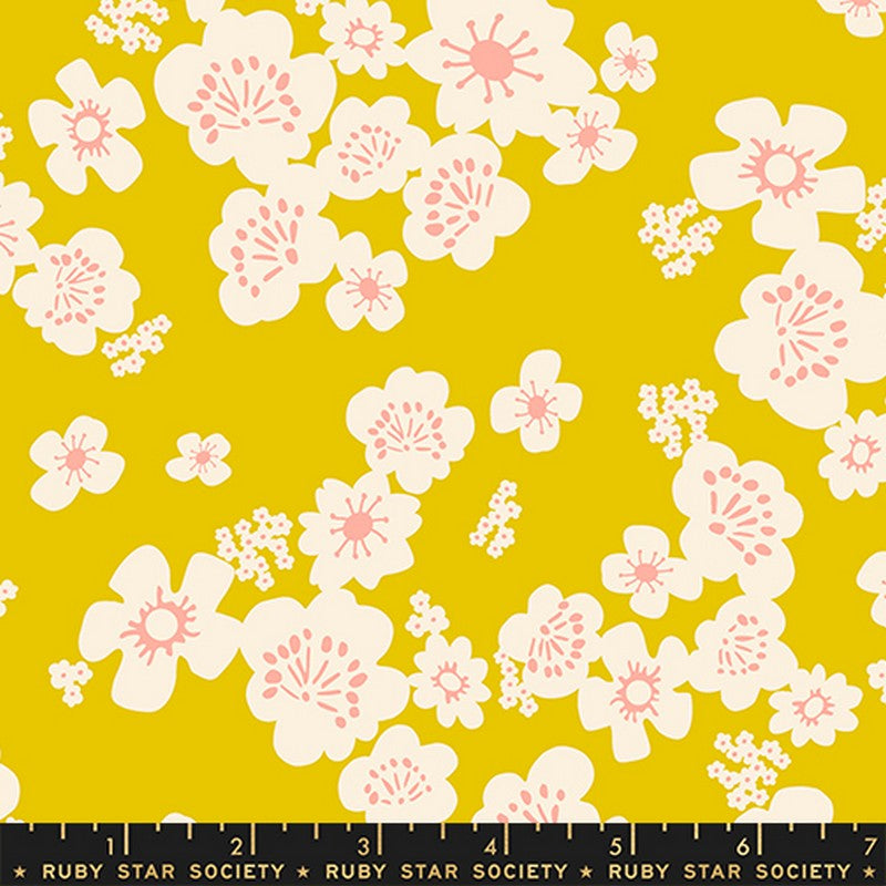 Paper Cuts 2 - Jelly Roll - Rashida Coleman-Hale - Ruby Star Society