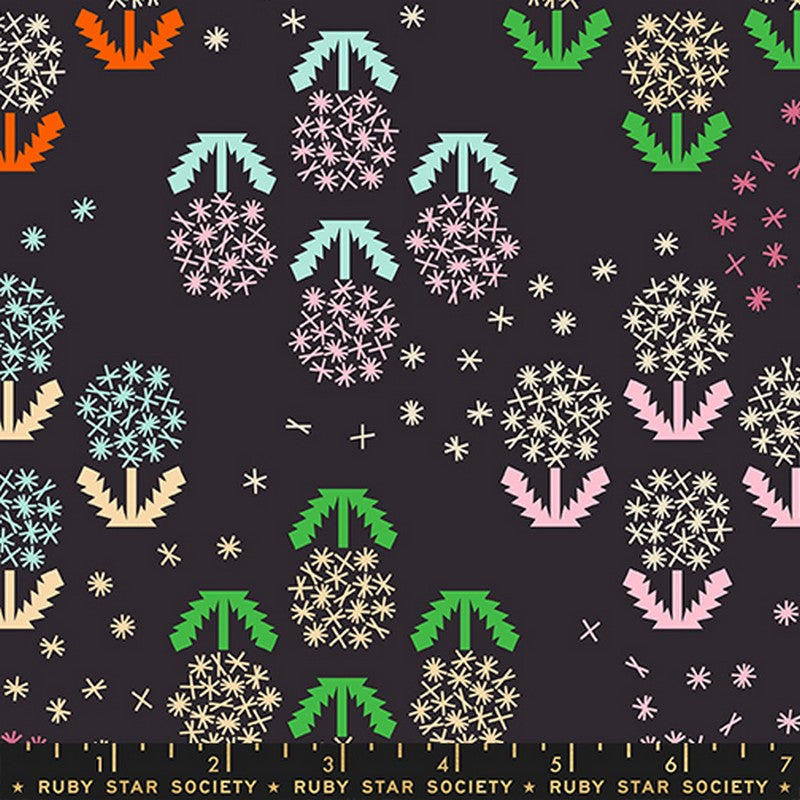 Float - CANVAS Wishes in Soft Black - Rashida Coleman-Hale - Ruby Star Society (Pre-order: Feb 2027)