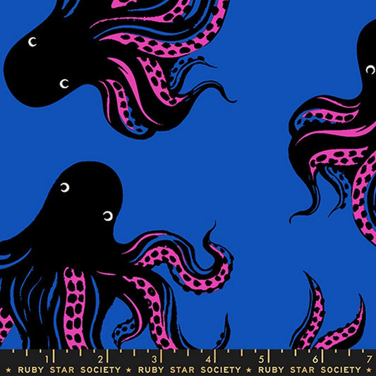 Ink Shop - CANVAS Mystery Food in Blue Ribbon - Sarah Watts - Ruby Star Society (Pre-order: Nov 2026)