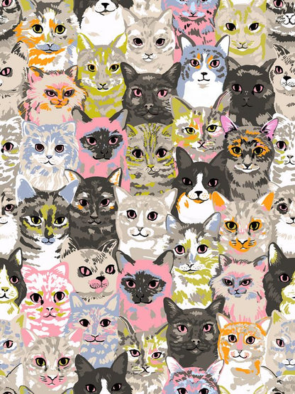 Oops! All Cats - Charm Pack - Sarah Watts - Ruby Star Society (Pre-order: June 2027)