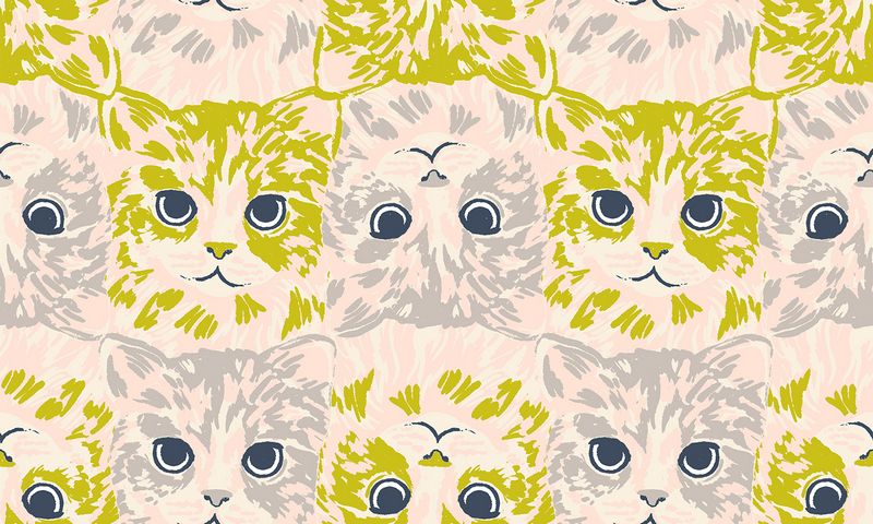 Oops! All Cats - Fat Quarter Bundle - Sarah Watts - Ruby Star Society (Pre-order: June 2027)