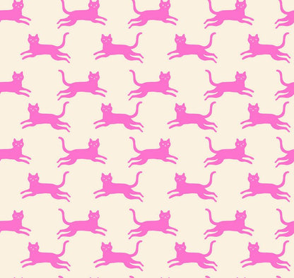 Oops! All Cats - Charm Pack - Sarah Watts - Ruby Star Society (Pre-order: June 2027)