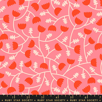 Tomato Tomahto - Half Yard Bundle - Ruby Star Society