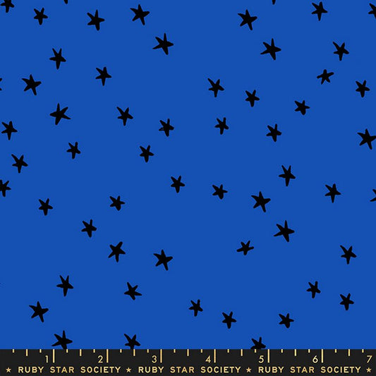 Starry - Blue Ribbon - Alexia Abegg - Ruby Star Society