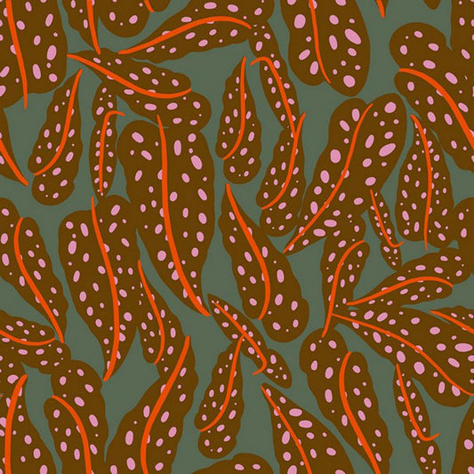 Calathea - RS5187-12 - Cocoa - Ruby Star Society
