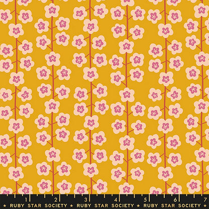 Corsage - Jelly Roll - Jen Hewett - Ruby Star Society (Pre-order: Dec 2026)