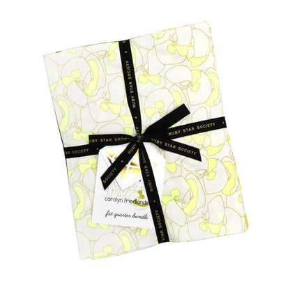 Memento - Fat Quarter Bundle - Carolyn Friedlander - Ruby Star Society (Pre-order: Aug 2026)