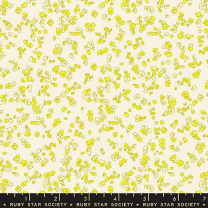 Memento - Charm Pack - Carolyn Friedlander - Ruby Star Society (Pre-order: Aug 2026)