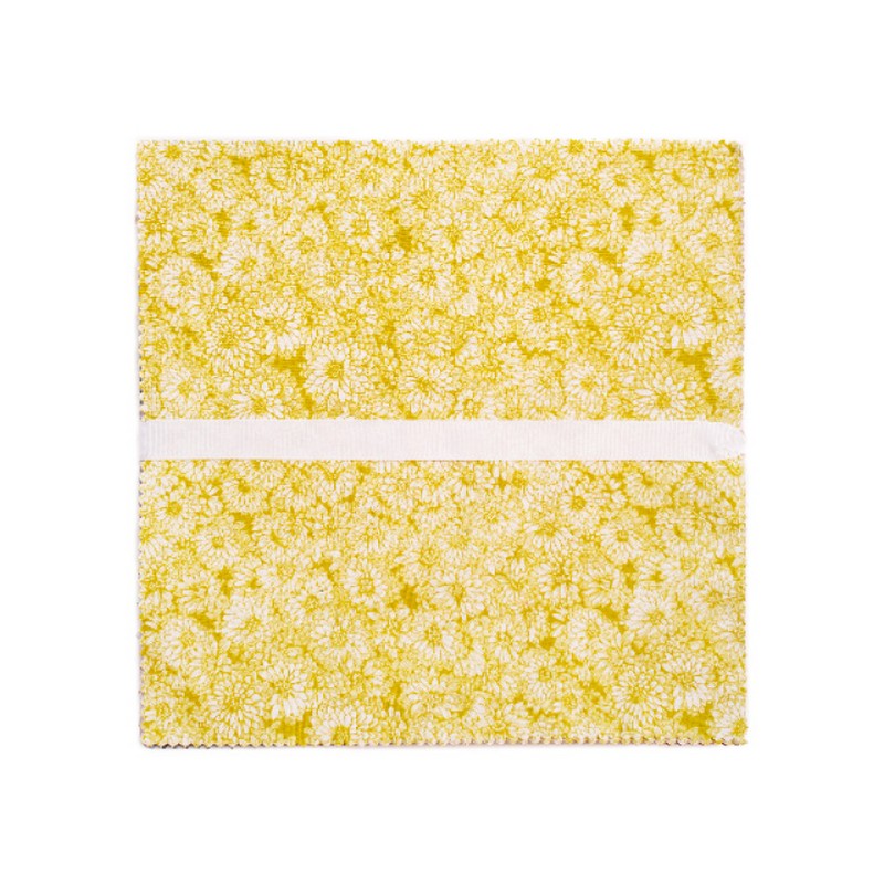 Indelible - Layer Cake - Anna Maria Textiles (Northcott)