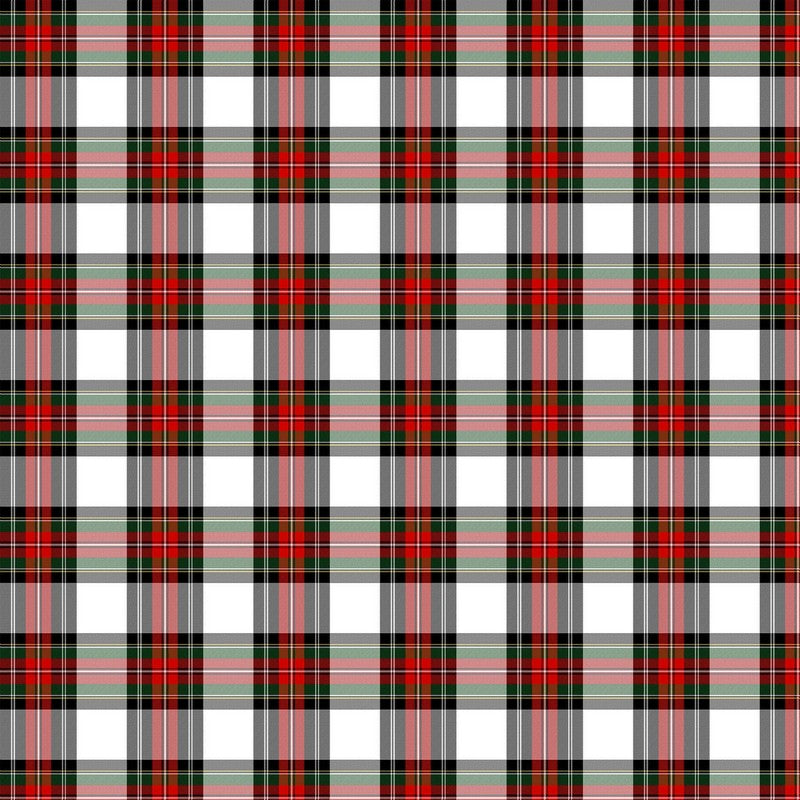 Totally Tartan - W24502-10 in White/Multi - Northcott