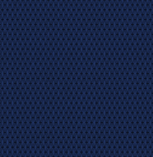 Cotton + Steel Basics - CANVAS Mishmesh in Indigo