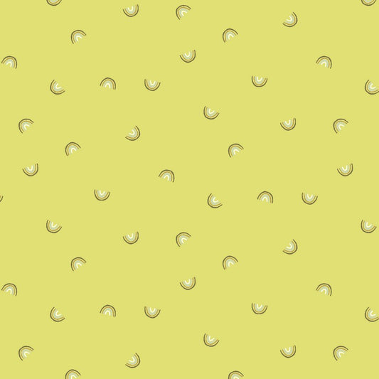 Cotton + Steel Basics - Always Look for Rainbows in Cirtrona