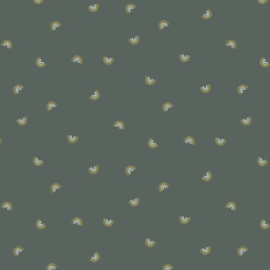 Cotton + Steel Basics - Always Look for Rainbows in Hidden Falls