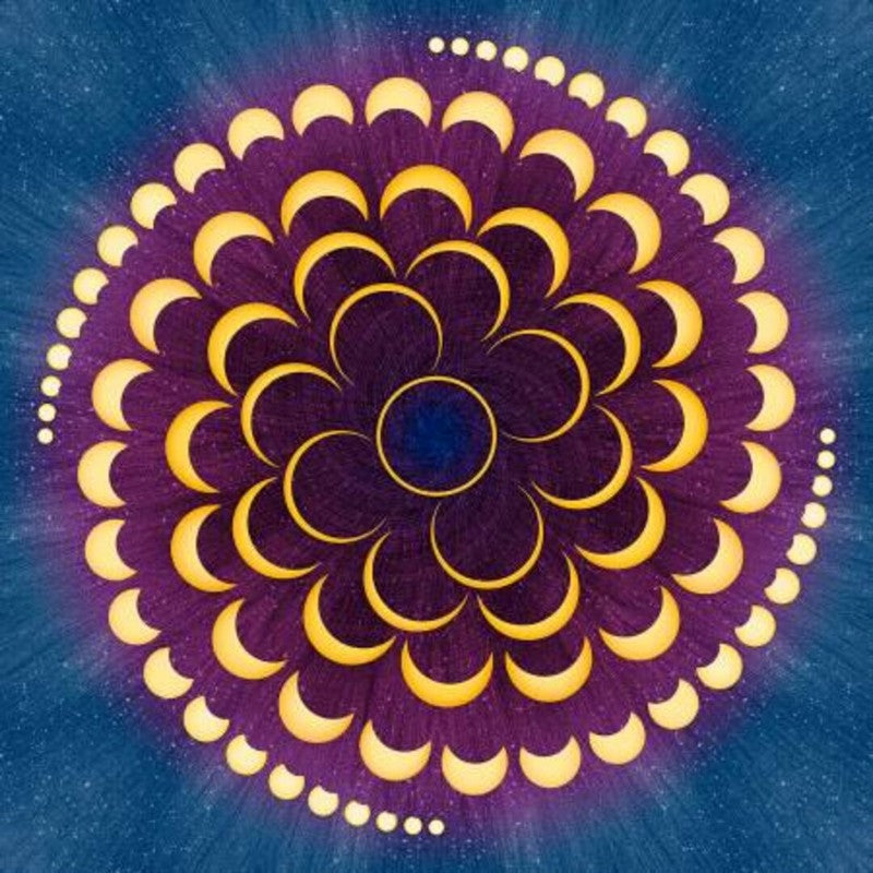 Dream Big Eclipse - PANEL in Ambrosia - Hoffman Fabrics