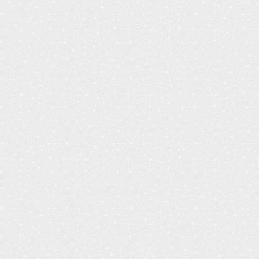 Basically Black & White - Geo Mesh White (10720-10) - Patrick Lose - Northcott - Full Bolt (10m) (Pre-order: June 2026)