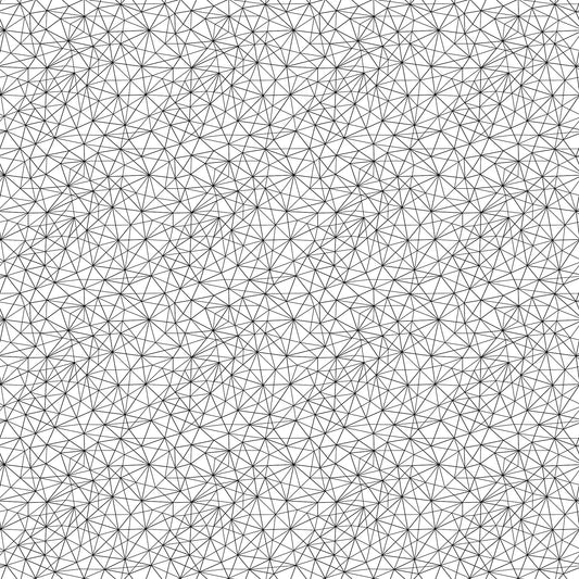 Basically Black & White - Geo Mesh Positive (10720-11) - Patrick Lose - Northcott - Full Bolt (10m) (Pre-order: June 2026)