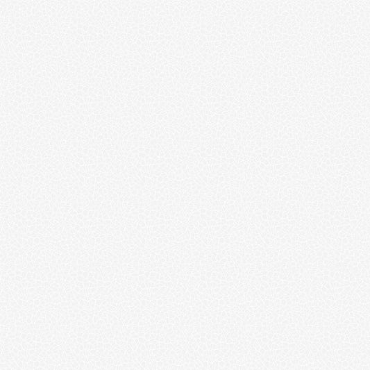 Basically Black & White - Voronoi White (10725-10) - Patrick Lose - Northcott - Full Bolt (10m) (Pre-order: June 2026)