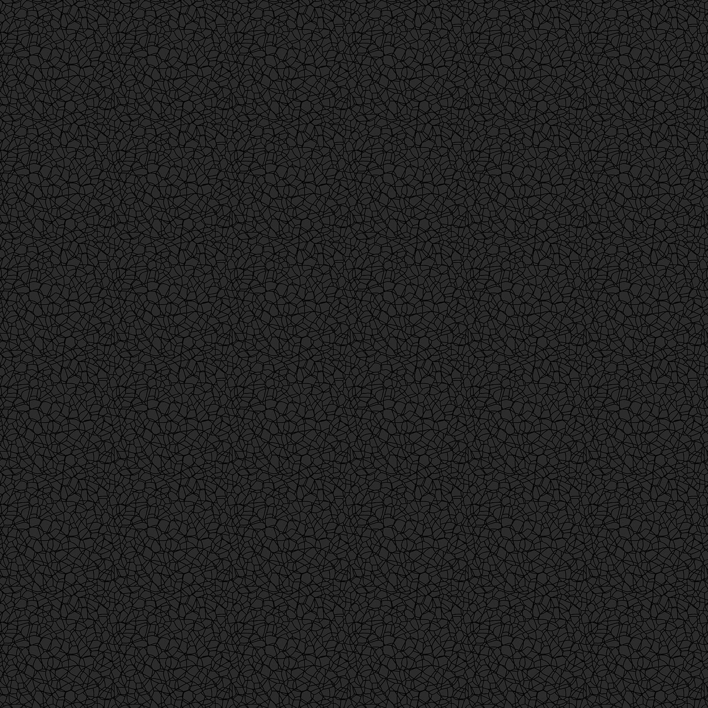 Basically Black & White - Voronoi Black (10725-99) - Patrick Lose - Northcott - Full Bolt (10m) (Pre-order: Aug 2026)