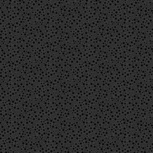 Basically Black & White - Twinkle Black (10726-99) - Patrick Lose - Northcott - Full Bolt (10m) (Pre-order: June 2026)