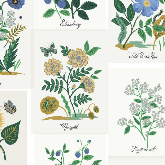 Curio CANVAS - Botanical Prints in Blue Multi - Rifle Paper Co - Cotton + Steel