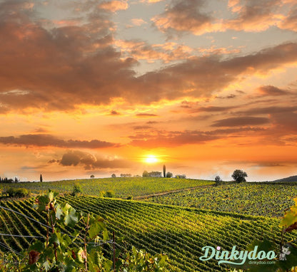 Color Builders 50wt 2020 - Tuscany - Aurifil (Pre-order: Feb 2026)