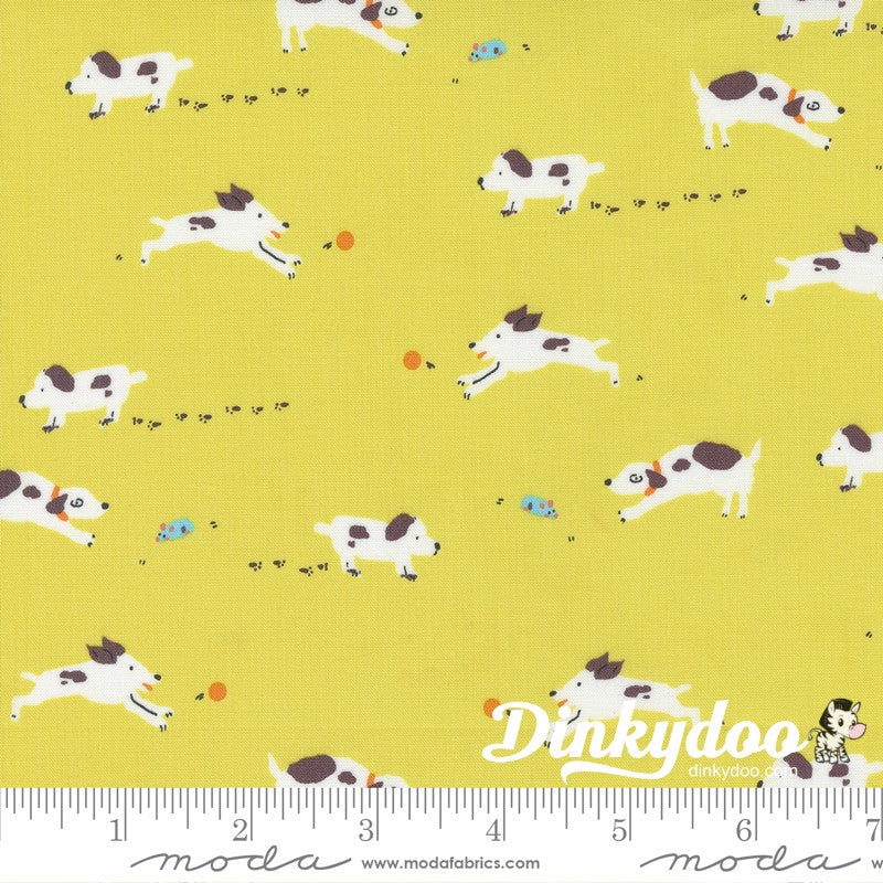 Pips - Layer Cake - Aneela Hoey  - Moda