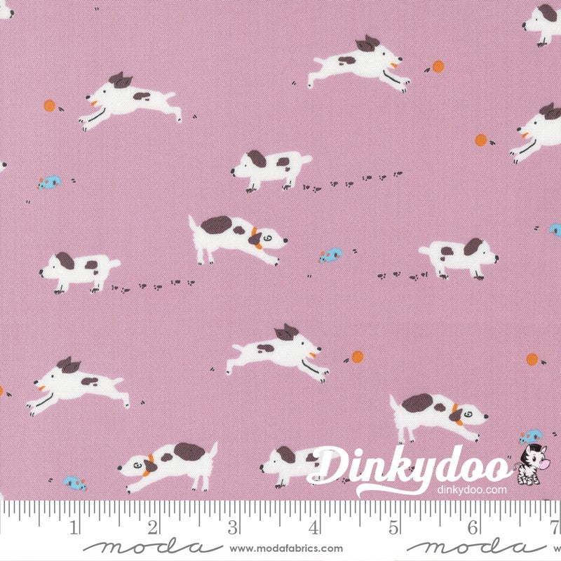 Pips - Layer Cake - Aneela Hoey  - Moda