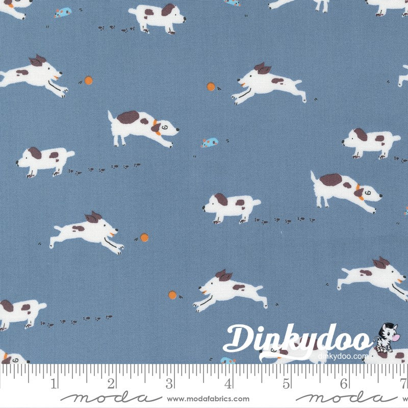 Pips - Layer Cake - Aneela Hoey  - Moda