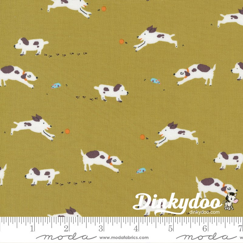 Pips - Layer Cake - Aneela Hoey  - Moda