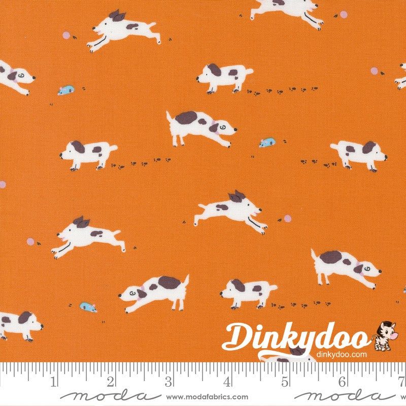 Pips - Layer Cake - Aneela Hoey  - Moda