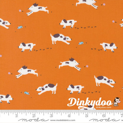 Pips - Layer Cake - Aneela Hoey  - Moda