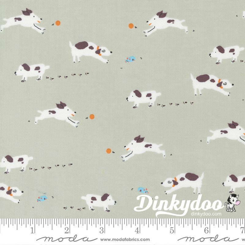 Pips - Layer Cake - Aneela Hoey  - Moda