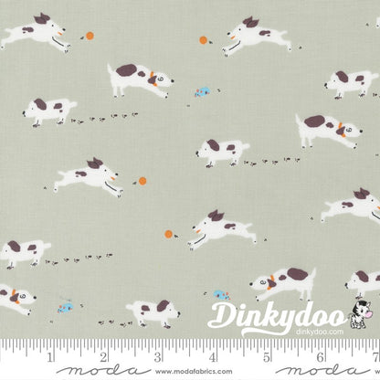 Pips - Layer Cake - Aneela Hoey  - Moda