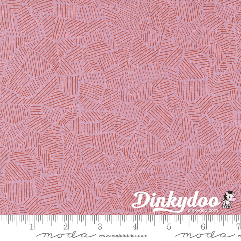 Pips - Layer Cake - Aneela Hoey  - Moda