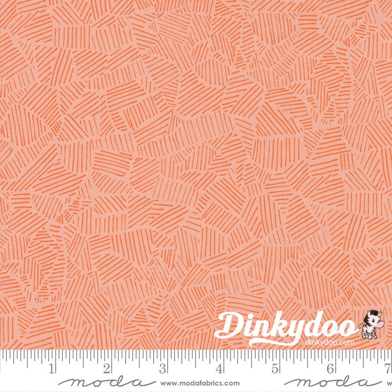 Pips - Layer Cake - Aneela Hoey  - Moda