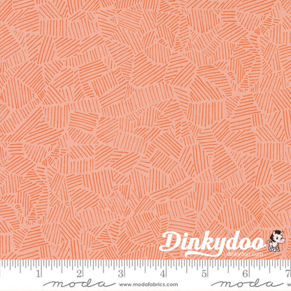 Pips - Layer Cake - Aneela Hoey  - Moda