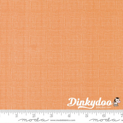 Pips - Layer Cake - Aneela Hoey  - Moda