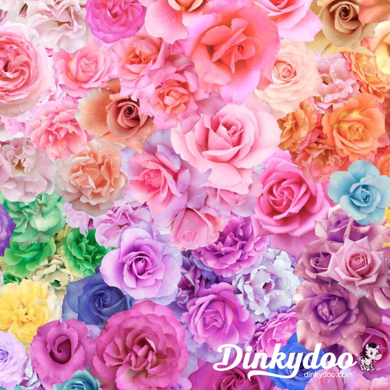 Gradients Parfait - Large Rainbow Roses in Fantasy - Moda