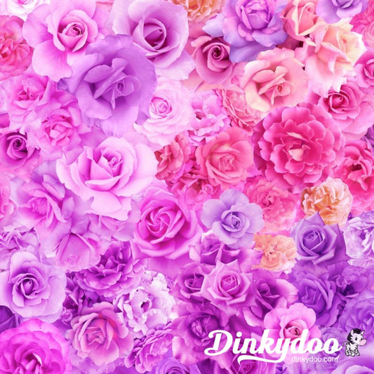 Gradients Parfait - Large Rainbow Roses in Purple Passion - Moda