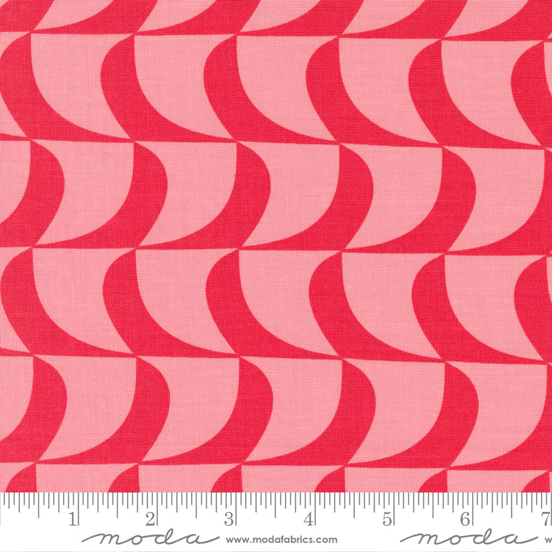 Creativity Roars - Jelly Roll - Creativity Shell - Moda