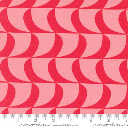 Creativity Roars - Jelly Roll - Creativity Shell - Moda