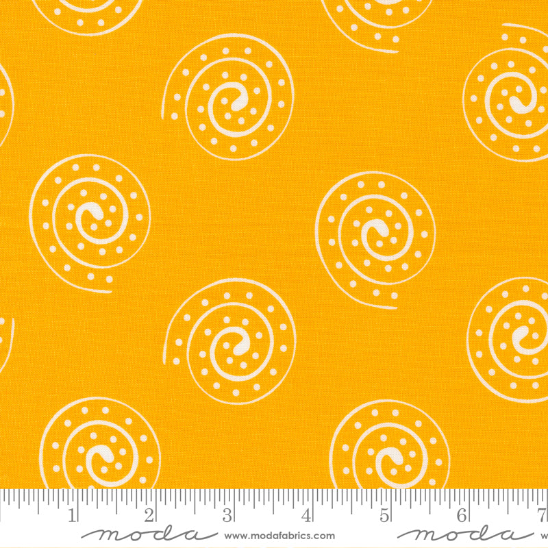 Creativity Roars - Fat Quarter Bundle - Creativity Shell - Moda