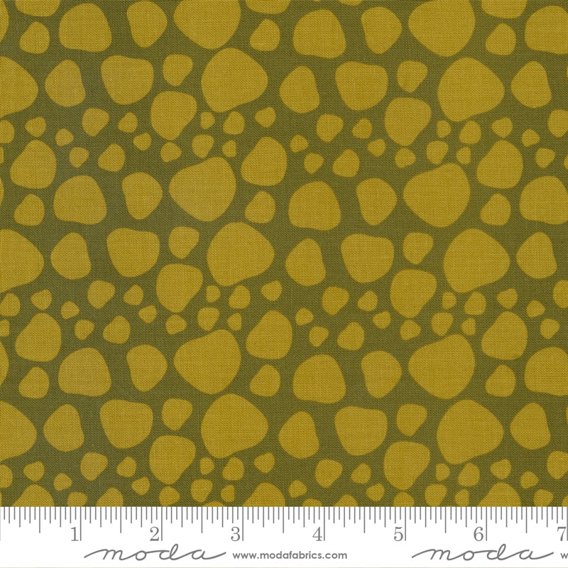 Creativity Roars - Fat Quarter Bundle - Creativity Shell - Moda