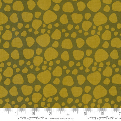 Creativity Roars - Fat Quarter Bundle - Creativity Shell - Moda