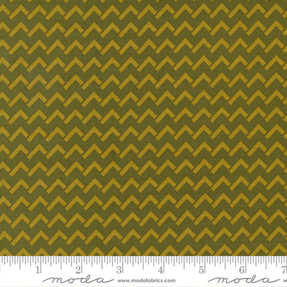 Creativity Roars - Layer Cake - Creativity Shell - Moda