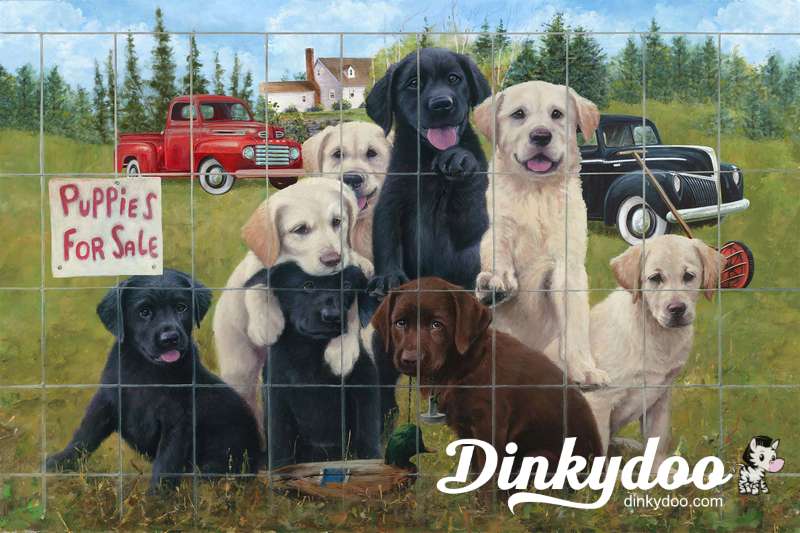 Puppies for Sale - Pups and Trucks Panel DP24250-74 - Northcott